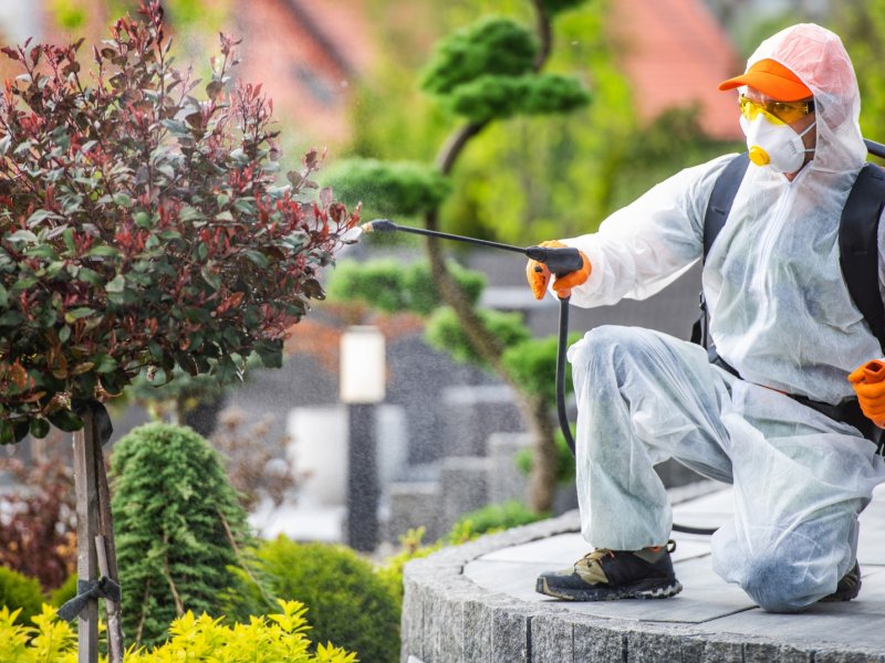 Akyurt Haşere İlaçlama